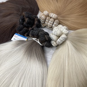 Producto caliente Genius Weft Extensiones de cabello liso, 100% Cabello vietnamita crudo Doble dibujado, cabello de color, con precio al por mayor - Product Image 2