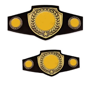Por encargo World Heavyweight Championship Wrestling Genuine Belt Mejor calidad Wrestling Championship Belts Box - Product Image 1