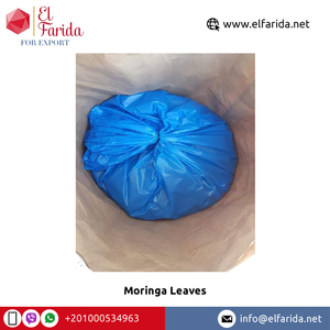 Extrait de feuille de Moringa de qualité supérieure superlatif Supplément à base de plantes de vente en gros au prix du marché - Product Image 5
