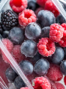 VDELTA Mangue surgelée du Vietnam | Produits surgelés naturels de qualité supérieure pour l'exportation de fruits tropicaux - Product Image 5