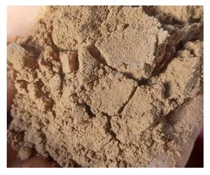 Vietnam Joss poudre Jigat poudre pas cher Litsea écorce poudre en gros haute qualité à bas prix de la manufacture 99GD - Product Image 2