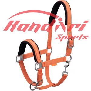 Vente en gros, meilleure vente, licou à cheval avec alliage de quincaillerie/licou à cheval fabriqué au Pakistan - Product Image 1