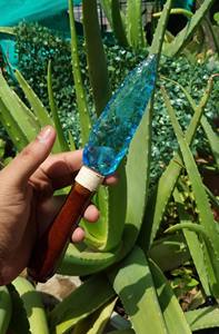 Cuchillo con Punta de Flecha Tallada en Piedra de Obsidiana Aqua, Hecho a Mano, Calidad Premium, Decoración de Altar, de Khambhat, India, por Muntaha Agate Exports - Product Image 3