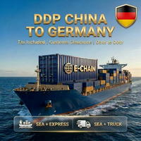 Expédition maritime DDP LCL FCL, transitaire Chine-Allemagne, service porte-à-porte avec dédouanement rapide, agent logistique
