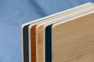 Paneles de madera contrachapada de melamina para construcción de hoteles 4x8 18mm Diseño interior moderno Tableros de melamina de alta calidad Uso en apartamentos - Product Image 4