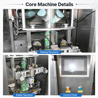Machine d'emballage et de remplissage de liquides de haute précision |   Machine de remplissage et de scellage verticale automatique avec pompe pour sachets de jus de fruits et de sauces