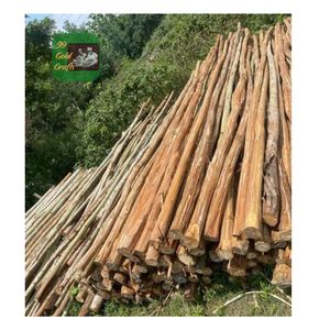 EUCALYPTUS <b>WOOD</b> <b>LOGS</b> AND STAKES WHOLESALE STRONG STABLE TIMBER POSTS FOR AGRICULTURE FENCING AND GENERAL STRUCTURE PROJECTS - Product Image 4
