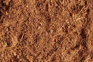 Disco de coco y pellet para inicio de semillas - Product Image 3