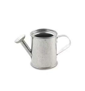 Regadera de acero galvanizado, diseño elegante para los amantes del balcón y el jardín, lata duradera hecha a mano con un acabado único - Product Image 2