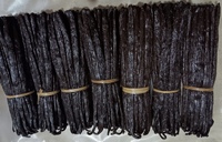 Meilleur Prix 14-21 cm MG Bourbon Vanille Séchée Planifolia en Gousse Entière Préparation Traditionnelle VANILLE HARVEST 1kg/2kg Vente à l'Exportation