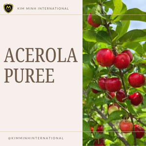 Jus de Purée de Fruits d'Acerola 100% Frais, Stérilisé, Sans Sucre, Emballage en Vrac Premium, 20kg, Marque KMI, Exporté du Vietnam - Product Image 5