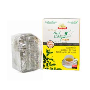 Bolsas de té de hierbas directas de fábrica Bolsa de té Ampelopsis Cantoniensis de Vietnam para la salud diaria Calidad DE EXPORTACIÓN DE BEBIDAS - Product Image 3