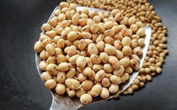 OEM/ODM Snack de Soja Séché Sain, Édamame Croustillant, Saveur Noisette Sucrée, Marque Kim Long, Vietnam, Prêt à l'Exportation, Approvisionnement en Vrac