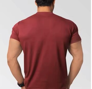 Boxy Fit Style col rond hommes coton lourd grande taille T-Shirt haute qualité à manches courtes musculation t-shirts vierges - Product Image 1