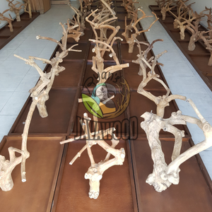 Fabricant de support pour oiseaux Table pour perroquet et perroquet pour aire de jeux Support pour arbre en bois massif Taille M Couleur naturelle au prix de gros - Product Image 5