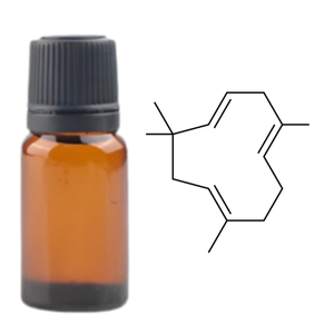 HUMULENE de Kanha Nature Oils Aceite esencial puro de Grado Superior Fabricante de alta calidad Precios directos al por mayor a granel - Product Image 2