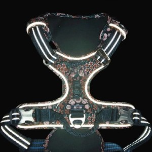 สายจูงสัตว์เลี้ยงลายสัตว์เรียบง่าย สำหรับสุนัขและแมว พร้อมหัวเข็มขัดปรับได้ กันน้ำ ระบายอากาศดี สายสะท้อนแสง พร้อมกระดิ่งเล็ก - Product Image 4