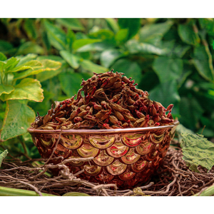 Nueva colección, producto de la mejor calidad, extracto de planta de hierba cruda seca de raíz de Tagar Natural saludable y puro a buen precio - Product Image 1