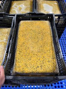 Cubos de maracuyá congelados tropicales con semillas reales, perfectos para Barra de jugos congelados y creaciones culinarias de Vietnam - Product Image 3