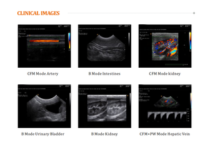 Scanner <span class=keywords><strong>pour</strong></span> animaux de compagnie MR-G20, échographie vétérinaire portable avec sondes, scanners à ultrasons couleur <span class=keywords><strong>pour</strong></span> animaux - Product Image 3