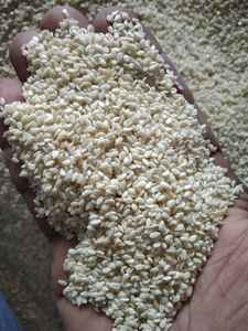 Semillas de Sésamo Orgánicas Crudas Descascaradas, Suministro Directo de Fabricante al por Mayor para Uso Alimentario, Estilo Seco - Product Image 6