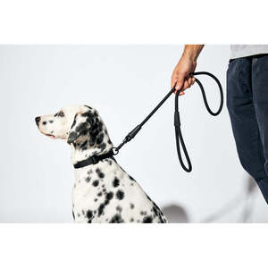Gotham Classic Luxury Dog Leash Durable Nylon with Breakaway Quick Release Padded Soft Light Solid Pattern Free Sample - Product Image 2