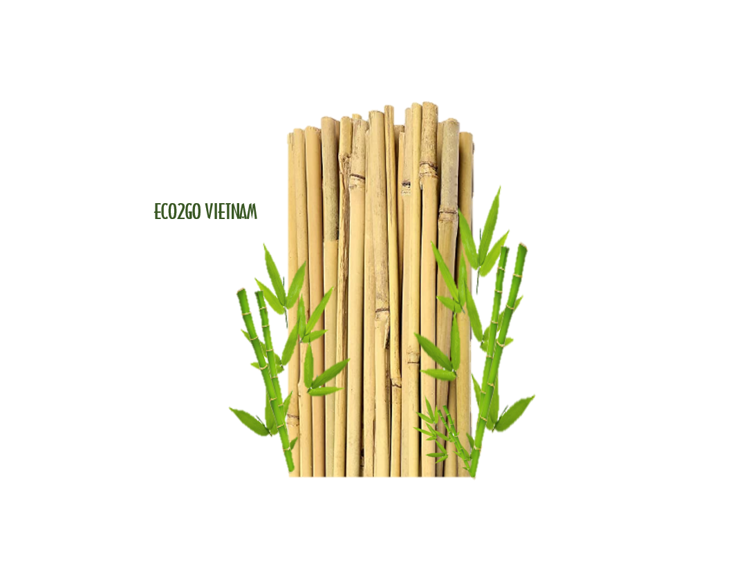 สีดำสีกากี