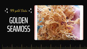 Musgo de mar/musgo irlandés, hecho a mano en VietNam/ Natural 100% - Product Image 3