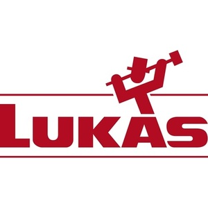 Disco de Láminas SLTT ZK de 115 mm con Grano 40, Corindón de Zirconio para Acero Plano, Paquete de 10 - Producto LUKAS - Product Image 2
