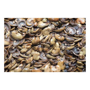 Coquille de noix de cajou en vrac à vendre stock de gros expédition rapide de haute qualité - Product Image 1