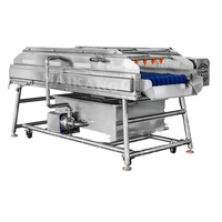 Multifunctionele horizontale rolborstelwasser voor dadels, sinaasappels, aardappelen, komkommers, uien, groenten, fruit, gember en bieten.