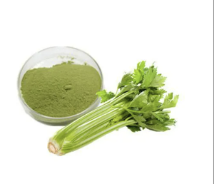 Polvo de apio deshidratado | Extracto natural a base De Plantas | Alta fibra y antioxidantes - Product Image 6