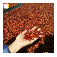 Flocons de piment rouge séché, piments concassés, niveau de chaleur élevé, pour garniture de pizza et assaisonnement de collations, qualité alimentaire, export