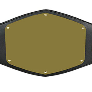Cinturón de Campeonato Personalizado con Cuero PU Duradero, Suministro de Fábrica OEM Disponible - Product Image 6