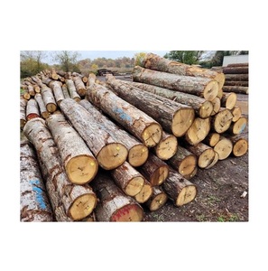 <b>Oak</b> Wood Round Logs for Furniture Making - Top Quality, Competitive Price - Product Image 3