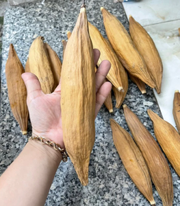 Vaina de Kapok natural Premium para pájaros, hámsteres y mascotas pequeñas-Material de nido de algodón de seda de fibra suave, la mejor opción para usted - Product Image 4