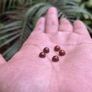 Forma redonda de jaspe rojo Natural, cabujón calibrado con reverso plano de 12mm, piedra preciosa para hacer joyas, anillos, colgante para collar, tobillera - Product Image 5