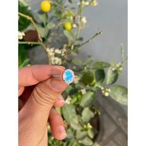 925 Silver Oval Moonstone <b>Adjustable</b> <b>Ring</b> Fashionable Trendy Rose Gold & Gold & Rhodium Plated Inlaid Style for Engagement - Product Image 1