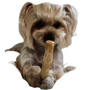 Juguete Masticable para Perros de Madera de Café Sostenible, Diseñado para Exportación B2B - Product Image 2