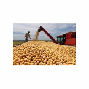 Harina de pescado de la mejor calidad para alimentación animal Aves de Corral CAN/BOX/BAG Empaquetado Alternativa fresca a la harina de soja y la harina de maíz - Product Image 5