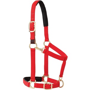 SAISHAS English Saddle Horse Halter Durable Nylon Padded Noseband Comfortable Strong <b>Leather</b> Custom Hardware for Everyday Use - Product Image 1