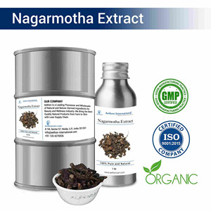 Extrait liquide biologique de Nagarmotha soluble dans l'eau pour usage corporel - Product Image 1