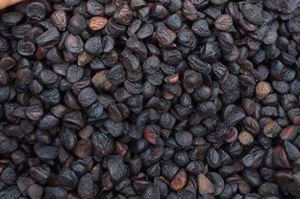 Unique Doi Seeds-Graines sauvages vietnamiennes pures et naturelles pour plats gastronomiques - Product Image 5