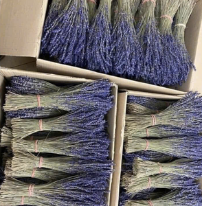 Material de Capullos de Lavanda Seca y Aromática para Frascos Decorativos y Rellenos de Velas, Procedente de Vietnam - Product Image 2