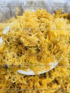 Musgo Irlandés Silvestre de Primera Calidad a Precio Competitivo, Musgo Marino Seco de Vietnam - Product Image 5