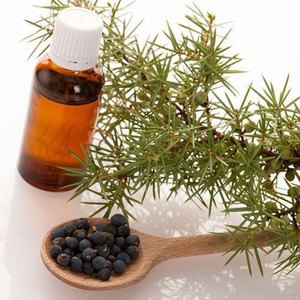 Huile essentielle de cade | Extrait de bois pur de qualité thérapeutique pour l'aromathérapie et le rajeunissement de la peau | Idéal pour l'approvisionnement en gros en vrac - Product Image 1