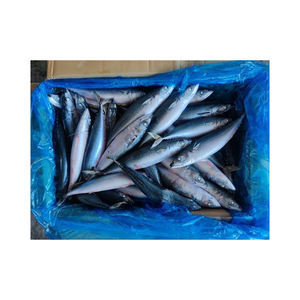 优质冷冻鲭鱼批发出售，蛋白质含量高，海洋风味丰富 - Product Image 1