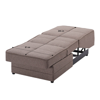 Canapé-lit convertible CozyCorner Studio, design moderne et luxueux, extensible et inclinable, capitonné, idéal pour petit salon, chambre ou bureau