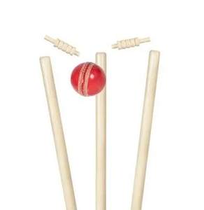 Celipex Private Limited Haute qualité Meilleure vente Souches de cricket en plastique blanchi et poli Lot de 3 Souches - Product Image 6