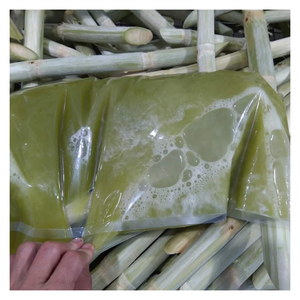 Caña de azúcar congelada de 99GD Vietnam con dulce sabor natural caña de azúcar congelada lista para enviar para jugo y exportación - Product Image 5